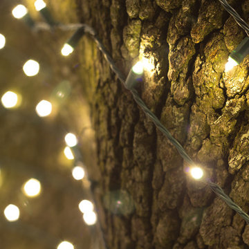 Christmas Lighting