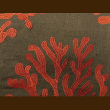 Exterior Ideas
