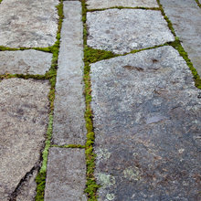 front stepping stones to side gate
