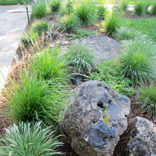 frontyard