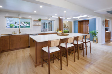 Inspiration for a mid-century modern kitchen remodel in Other