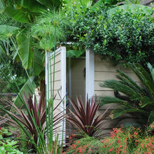 landscaping and outdoor shower