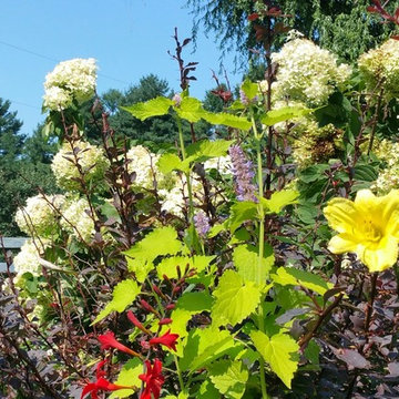 perennial gardens