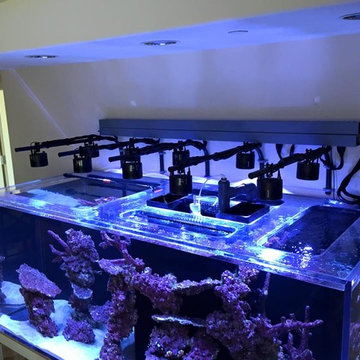 Custom Tank Lights