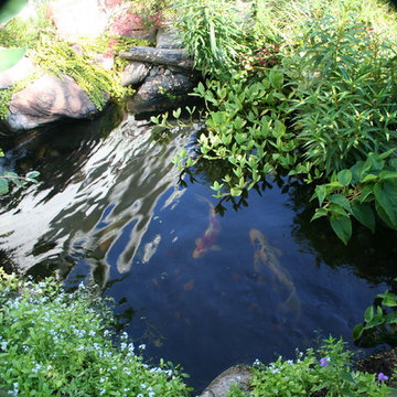 Koi Ponds and Water Gardens