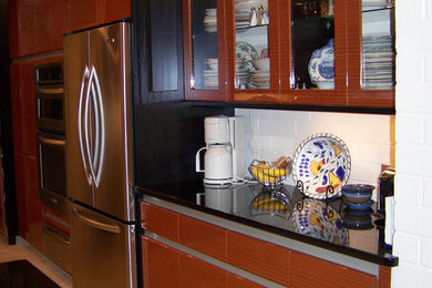 Trendy kitchen photo in Tampa