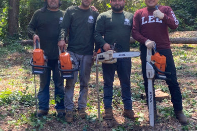 Atlanta R Tree Service and Landscaping Professional