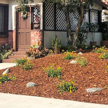 Front Yard Drought-tolerant Landscaping