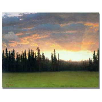 'California Sunset II' Canvas Art by Albert Biersdant