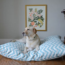 Dog beds