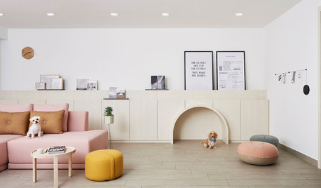 Visite privée : L'appartement idéal d'un couple et de ses chiens