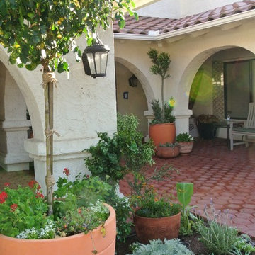 Singing Hills drought tolerant landscape