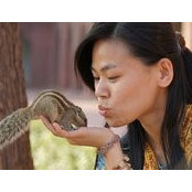 Siew Kiaw Ngs foto