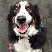 Ailsa Woodrow's photo