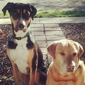 Stefannie Pahr-Simmonds's photo
