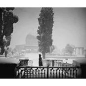 Ala'a Shadid's photo