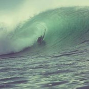 Pierre Williamson's photo