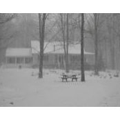 Maureen Parks's photo