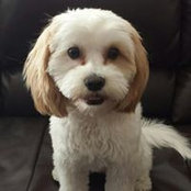 Janet McElwain's photo