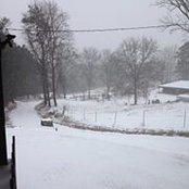 Millie Smith's photo