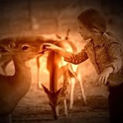 Jessica Price's photo