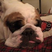 Candy Hummell's photo