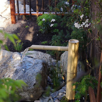 Japanese Garden, Contemporary Garden, California Garden