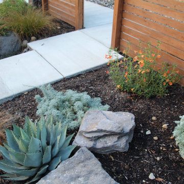 Vancouver Villa - front yard