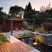 Maple tree in retaining wall