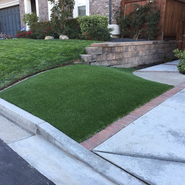 Contemporary Front Yard Installation