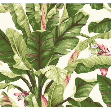 York Wallcoverings AT7067 Tropics Banana Leaf Wallpaper, White, Lit