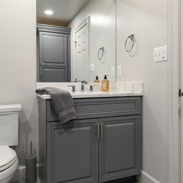 Basement Remodel