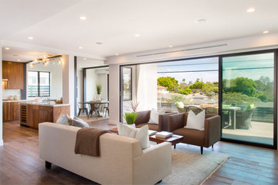 Inspiration for a modern living room remodel in San Diego