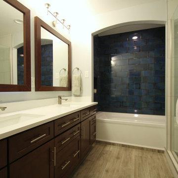 Park Hill Master Suite & Guest Bathroom Renovation