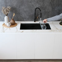 STYLISH Single Handle Pull-Down Dual Mode Kitchen Faucet in Matte Black/Gold