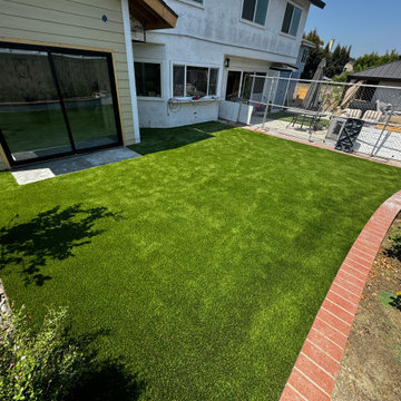 Backyard turf with concrete pad