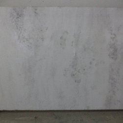 White Classic - Products