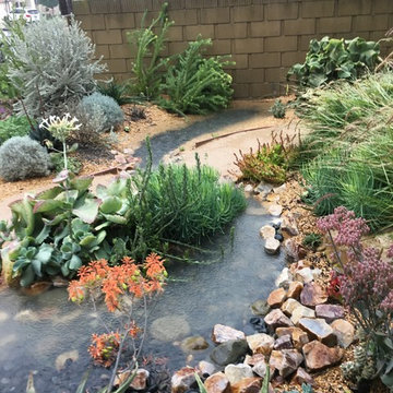 Soft Desert Gardens