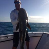 Robert Rehr's photo