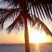 Julie Stevens's photo