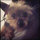 webuser_62652
