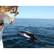 Caroline Emerson's photo