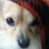 Kathy Umberger's photo