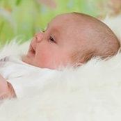 Pam Holt's photo