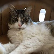 Ilana Mendels's photo