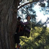 Barbara Steffensen's photo