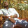 Gregory Douglas