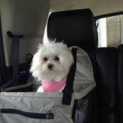 Kimberly Cooley Grass's photo