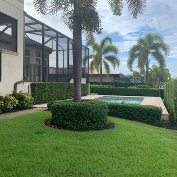 Landscape Design, Install, and Ongoing Upkeep Service | Bird Key, Sarasota, FL