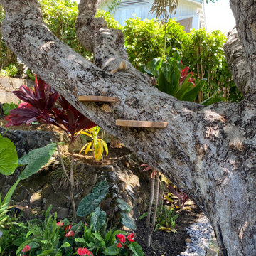 100 Year Old Tree Bench